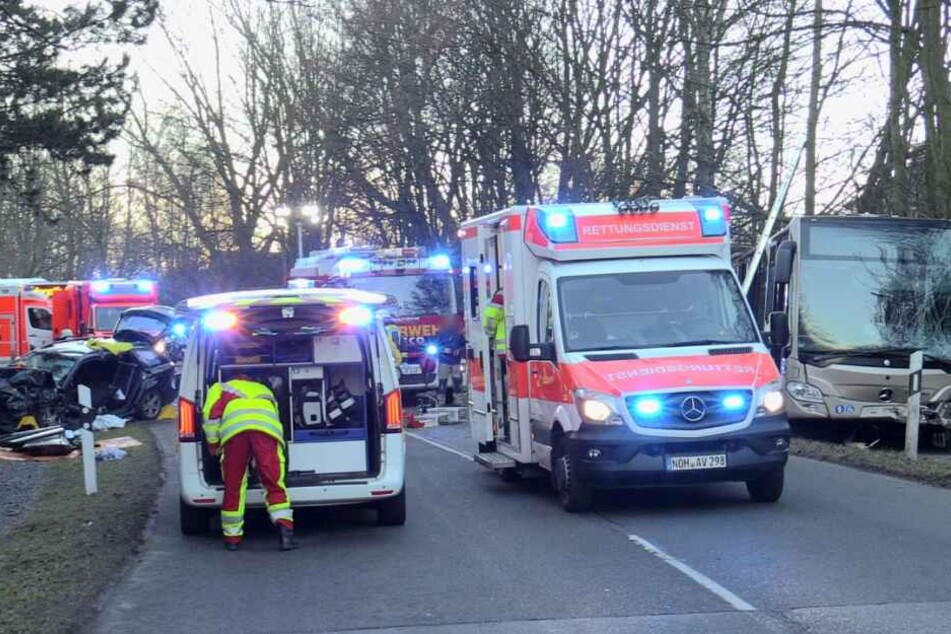 Der Busfahrer und eine weitere Person wurden leicht verletzt.