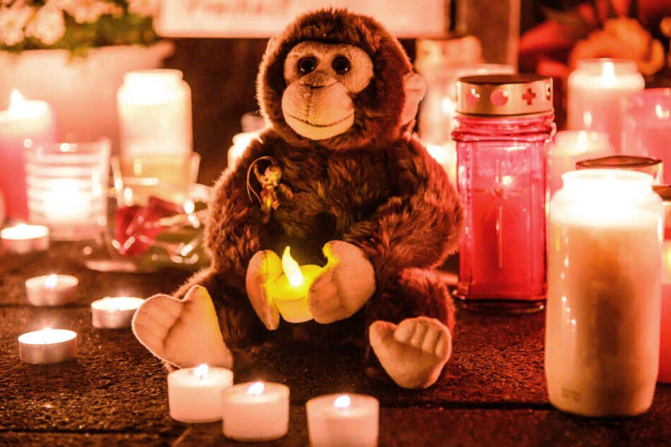 Bei dem Brand in der Nacht zum Mittwoch sind mehr als 30 Tiere gestorben.