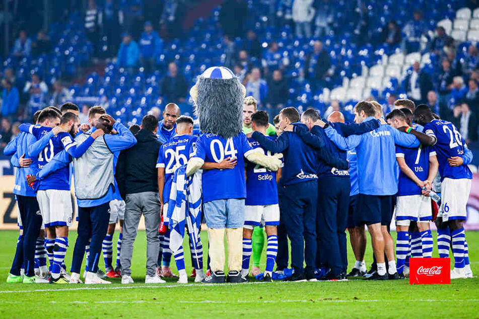 Der FC Schalke 04 steckt tief in der Krise und wartet als Tabellenletzter weiter auf seinen ersten Bundesliga-Sieg in dieser Saison.