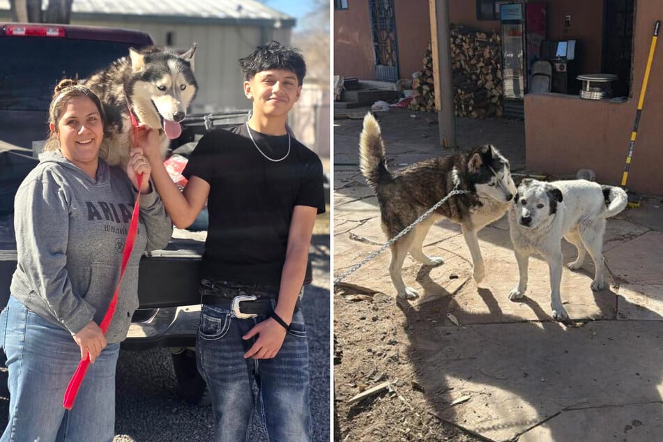 Erica Jose Ovalle Ruiz und ihr Sohn strahlen um die Wette, als sie Bentley zurückhaben. Jetzt muss der alte mit dem neuen Familienhund auskommen.