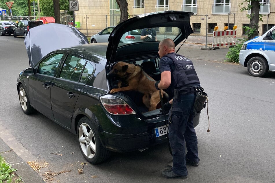 Die Polizei Köln durchsuchte mithilfe eines Drogenspürhundes den Wagen des Verdächtigen.
