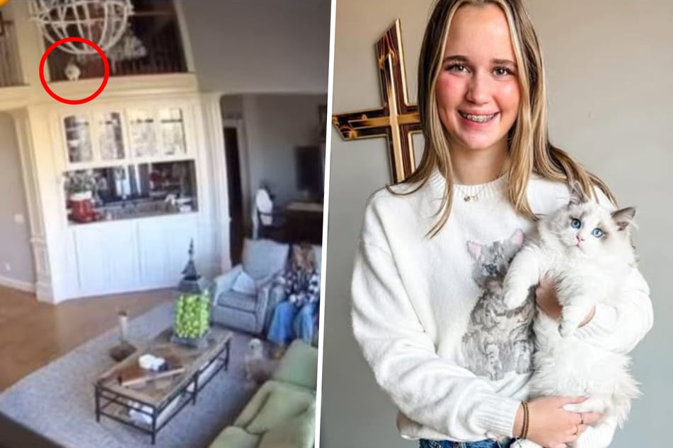 Cat owner watches horrified as kitten jumps off second-floor railing