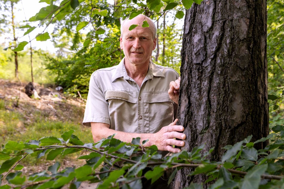 Heiko Müller (60) ist Forstdirektor des Dresdner Bezirks, somit auch für die Heide zuständig.