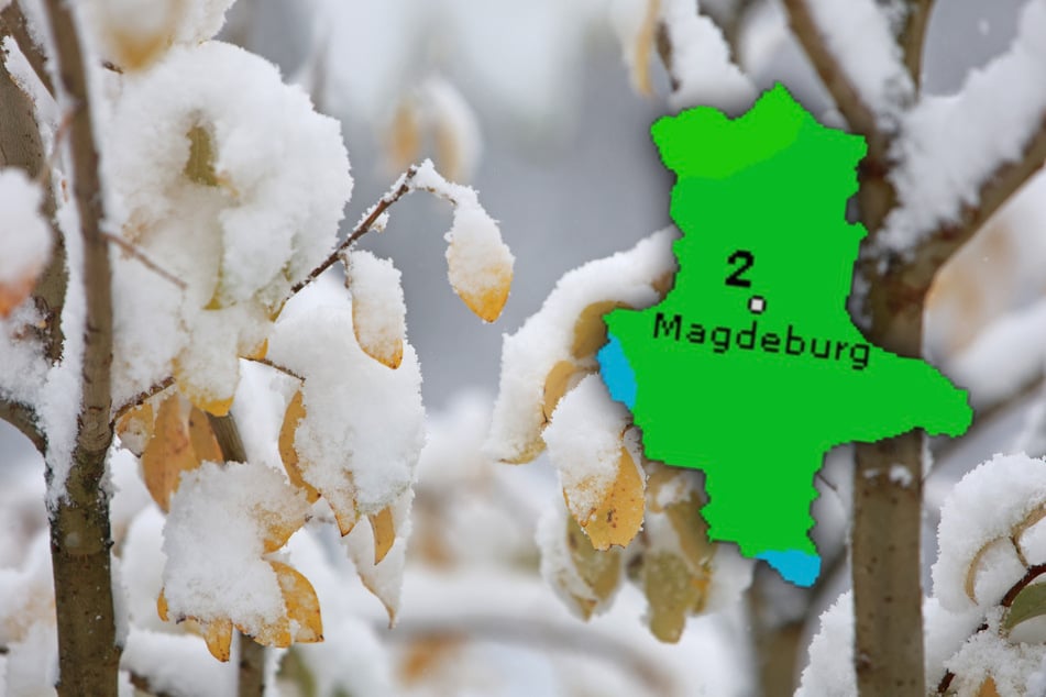 In Sachsen-Anhalt wird es dieses Wochenende frostig. (Symbolbild)
