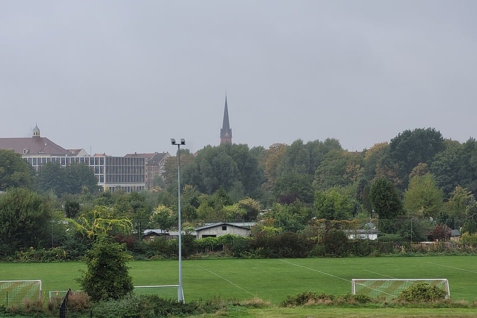 Am Parkbogen Ost soll eine zusammenhängende Grünfläche entstehen.