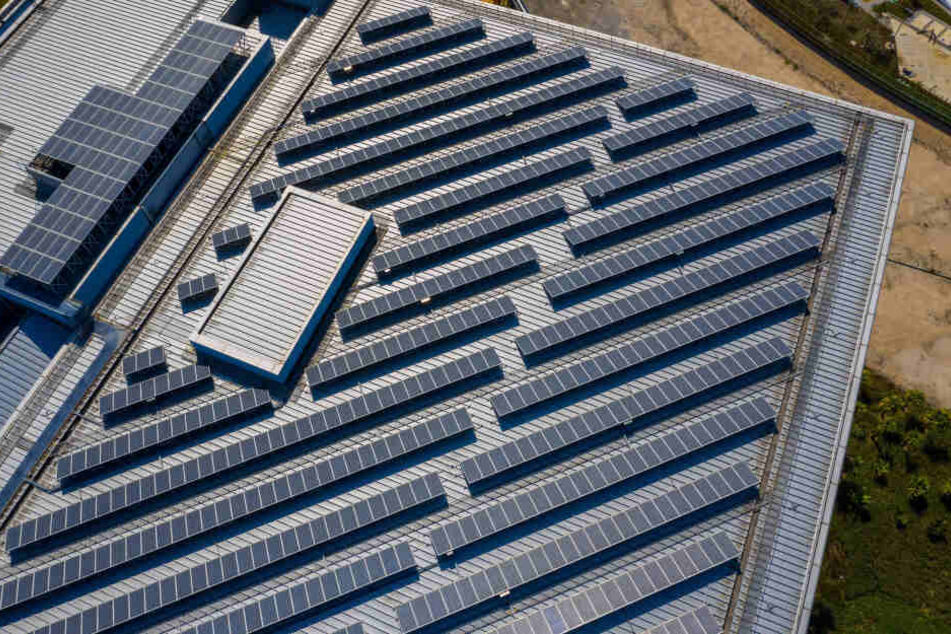 Auf dem Dach des neues Gebäudes wird eine Photovoltaik-Anlage für grünen Strom sorgen.
