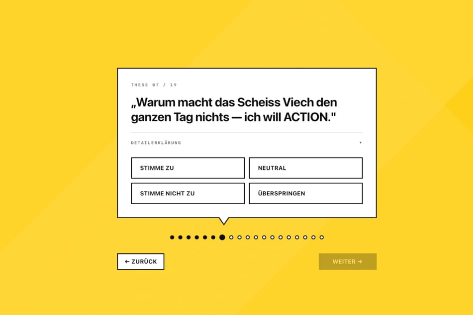 Anhand solcher - nicht ernst gemeinten - Fragen, wird die Einstellung des Nutzers abgefragt.