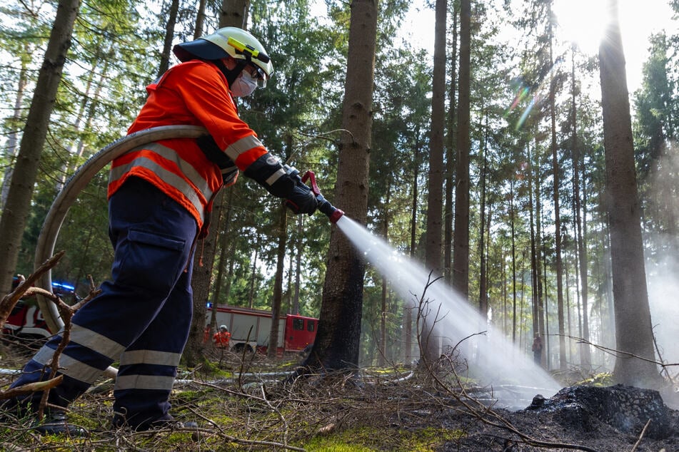 Heißes Wochenende in Sachsen: Hier besteht höchste Waldbrandgefahr