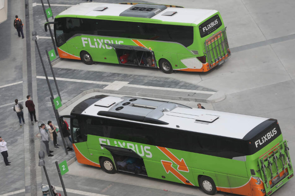 Als Antwort auf das Klimapaket plant Flixbus nun keine ökologischen Innovationen mehr für Deutschland.