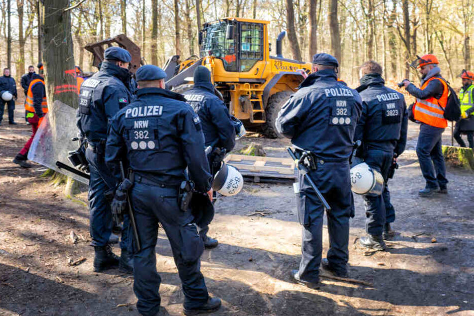 Die Polizei muss regelmäßig im Hambacher Forst RWE-Mitarbeiter schützen.