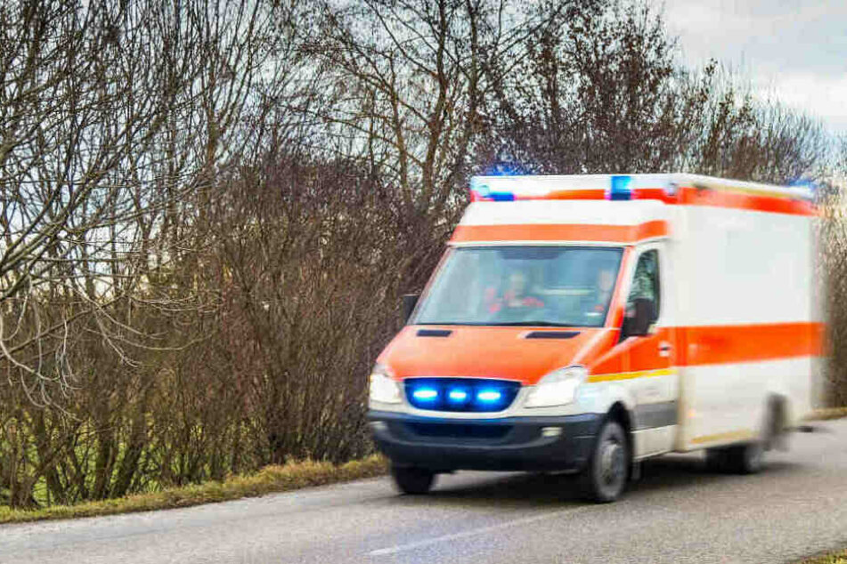 Rettungskräfte brachten das schwerverletzte Mädchen ins Krankenhaus, konnten sie aber nicht mehr retten. (Symbolbild)
