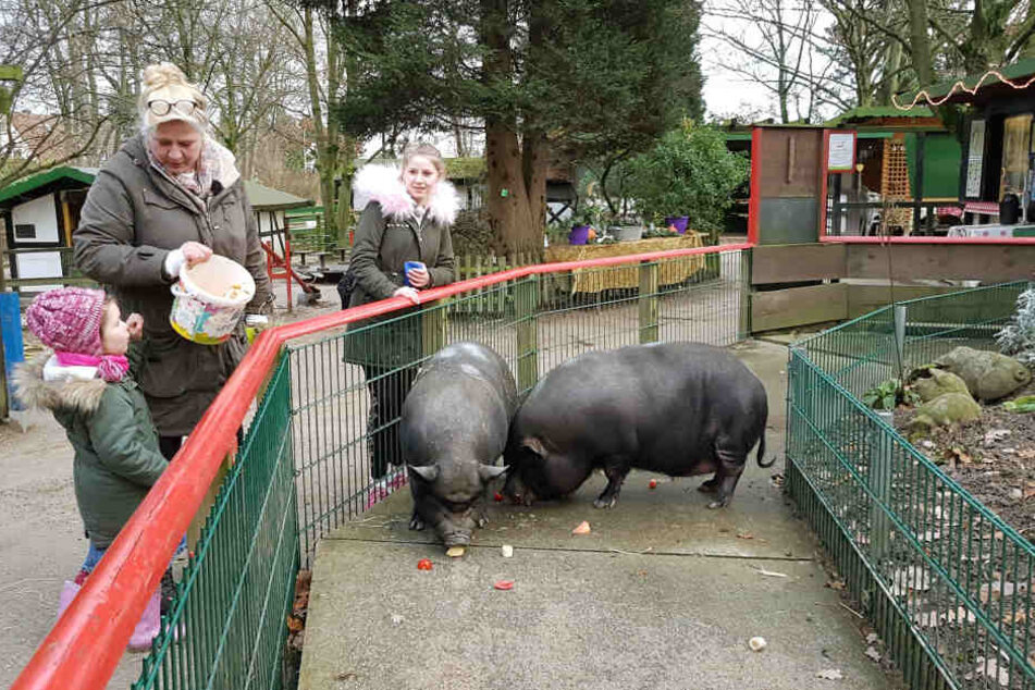 Um den Kopf frei zu bekommen unternimmt Silvia mit Enkelin Celina und Tochter Loredana einen Ausflug in einen Tierpark.
