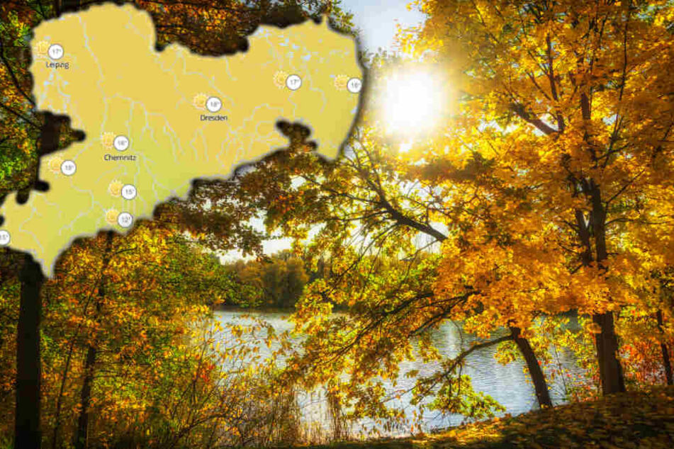 Herbstspaziergänge, Wandertouren, gemütliche Biergarten-Besuche - an diesem Wochenende ist vieles möglich.