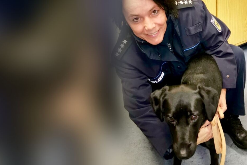 "Emma" passierte bei ihrem Alleingang glücklicherweise nichts. Beamte der Bundespolizei kümmerten sich um sie, bis ihr Frauchen eintraf.