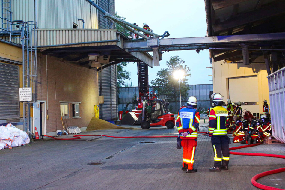Am gestrigen Mittwoch hat es in einer Trocknungsanlage für Futtermittel in Neumünster (Schleswig-Holstein) gebrannt.