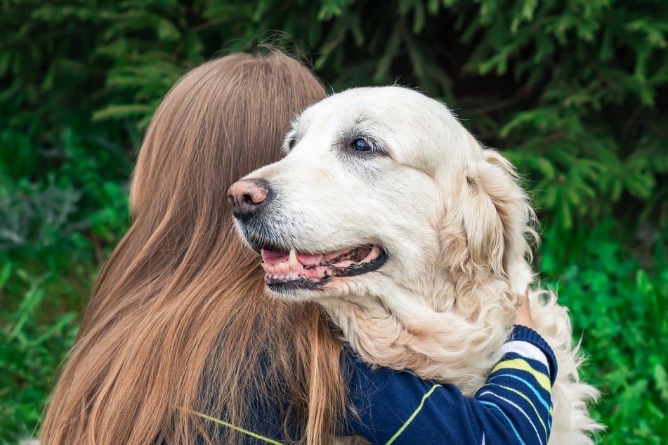 Umarmungen lösen oft Stress bei Hunden aus.