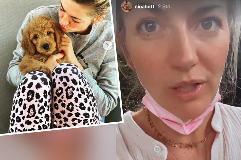 Nina Bott besorgt um Welpe "Teddy" in Tierklinik: "Bitte drückt uns die Daumen"