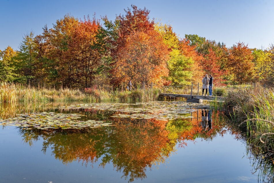 Geht es denn idyllischer? Zwei Frauen genießen das wunderbare Farbspektakel an einem Teich im Forstbotanischen Garten.