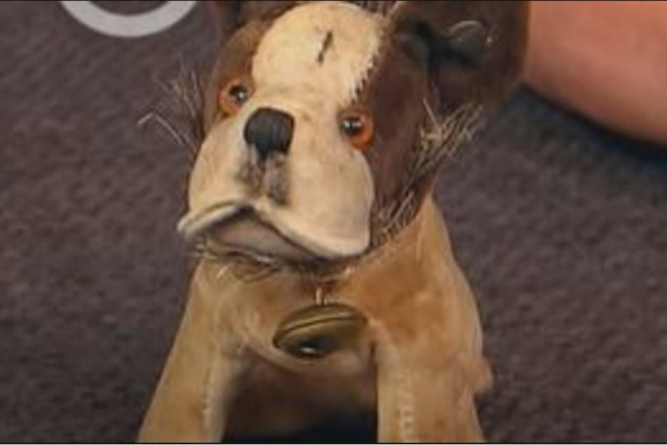 Eine französische Bulldogge von Steiff in perfektem Zustand kann auf dem asiatischen Markt durchaus bis zu 1500 Euro einbringen.