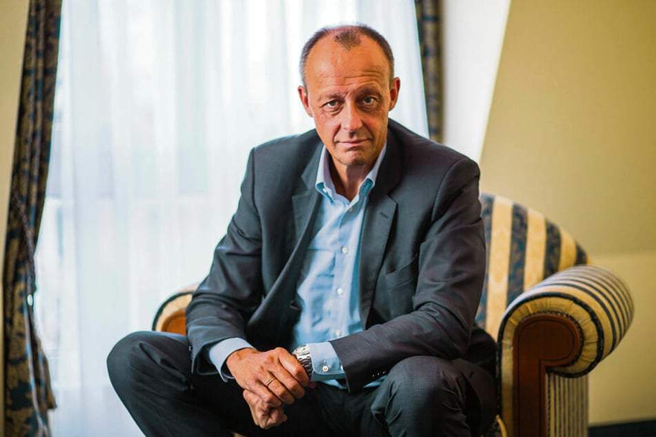 Friedrich Merz: "Hätte einen Vizepräsidenten der AfD im ...