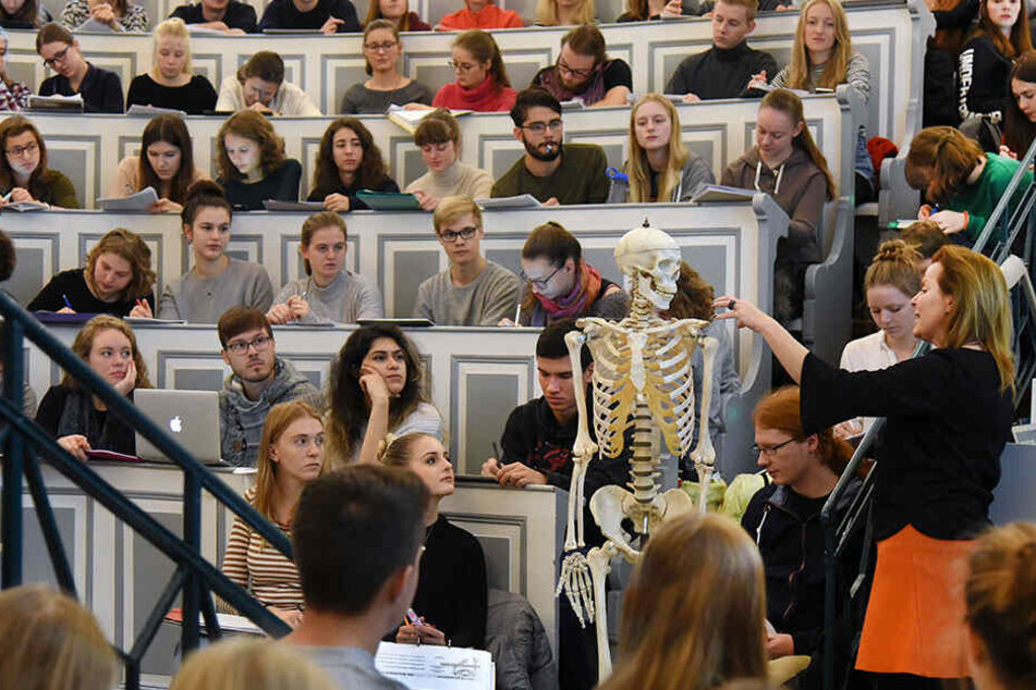 TU Dresden und Klinikum Chemnitz starten den Modellstudiengang Humanmedizin.