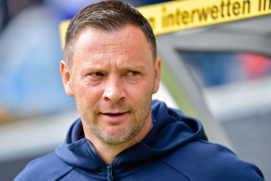 Pal Dardai (43) könnte neuer Trainer des 1. FC Köln werden.