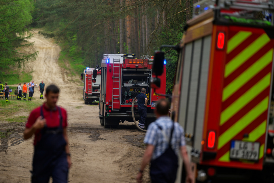Im Landkreis Lüneburg haben am Montag 14.000 Quadratmeter Wald gebrannt. Die Feuerwehr war mit 200 Kräften im Einsatz.