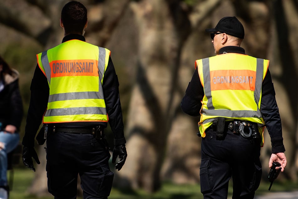 Mitarbeiter des Kölner Ordnungsamts haben die Sicherstellung der beiden Fellnasen veranlasst. (Symbolbild)