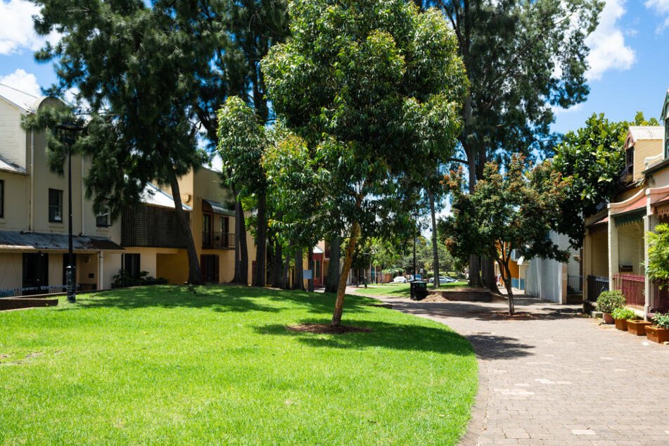 Wohngebiet in Sydney: Die hohe Luftfeuchtigkeit ist ein Paradies für Blutegel.