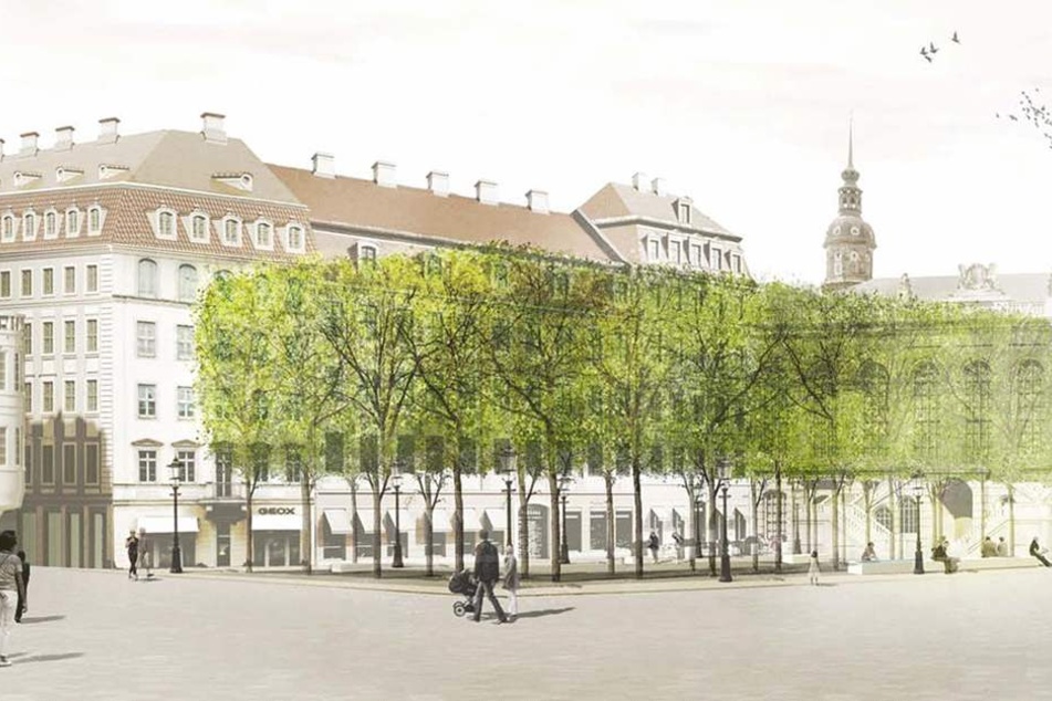 So sollen 2019 die neuen Bäume auf dem Neumarkt platziert werden.