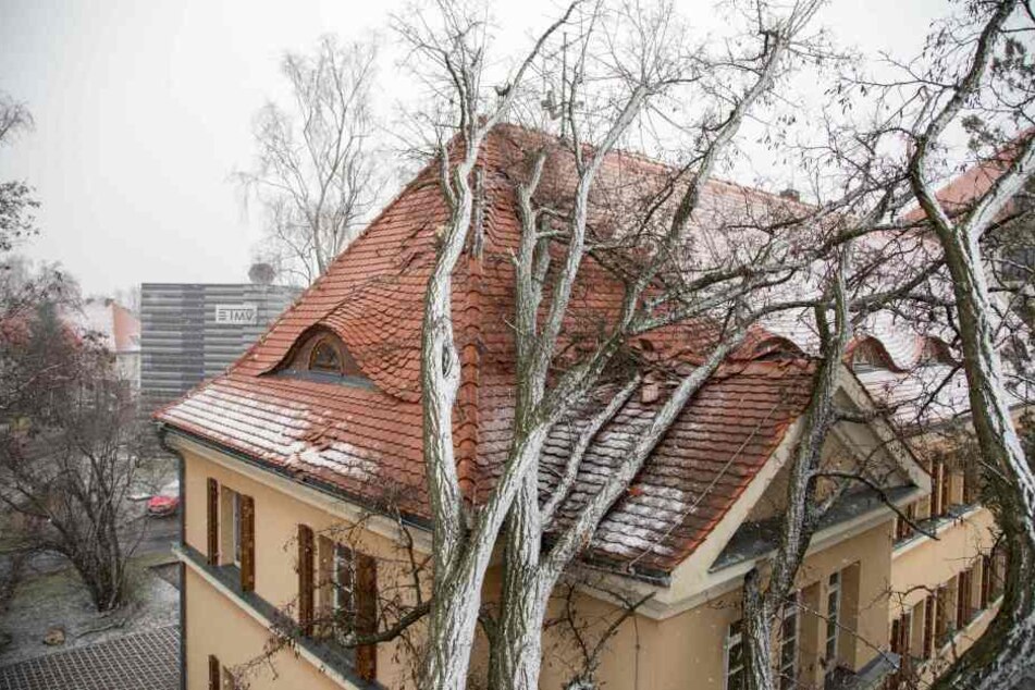 Ein Baum fiel in Freiberg auf ein Gebäude der Bergakademie.