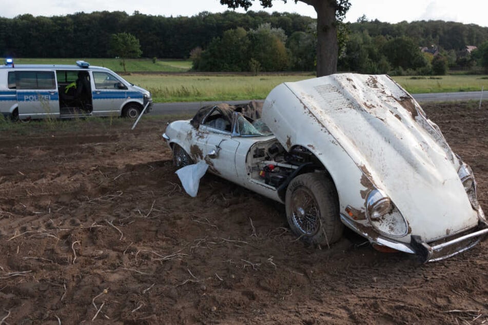 Der Jaguar blieb auf einem Kartoffelacker stehen.