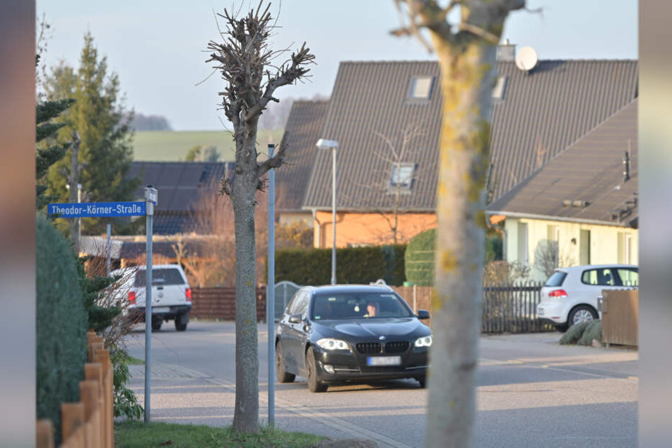 Rätselhafter Baumschnitt in Auerswalde: Wer ist für diesen Kahlschlag verantwortlich?