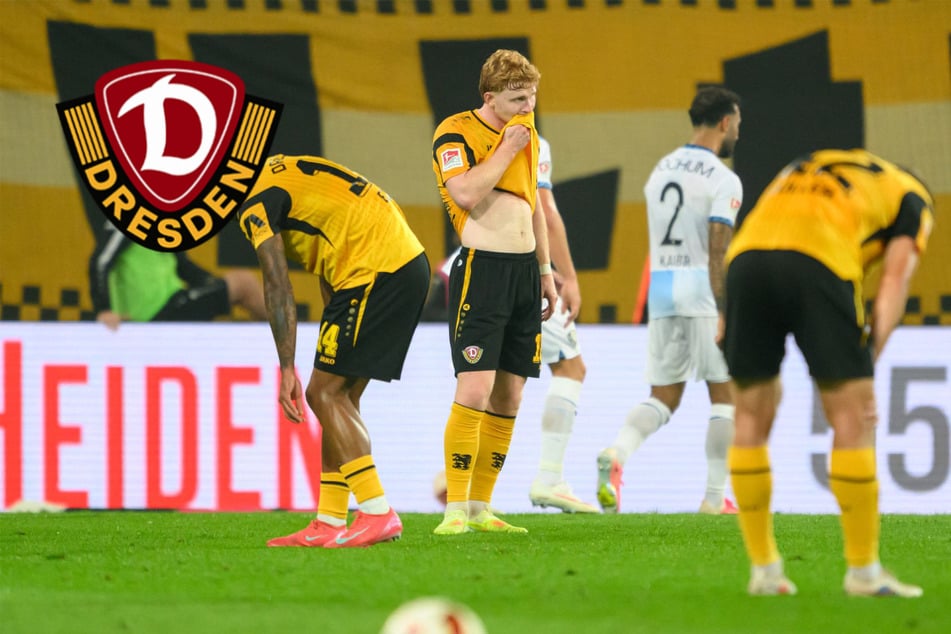 Der Euphorie folgt der Katzenjammer: Vier Gründe für Dynamos Fehlstart