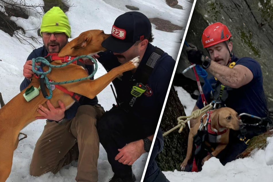 Hund fällt Klippe hinunter und wird fast von Wasserfall mitgerissen