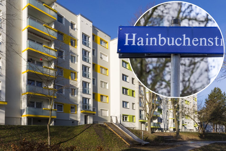 Die beiden Männer gerieten aneinander, nachdem sie vom Omsewitzer Ring in die Hainbuchenstraße eingebogen waren.