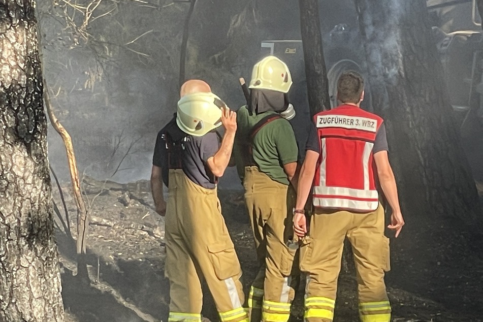 Waldbrand bei Rheinsberg: Vier Hektar fingen in der Nacht Feuer
