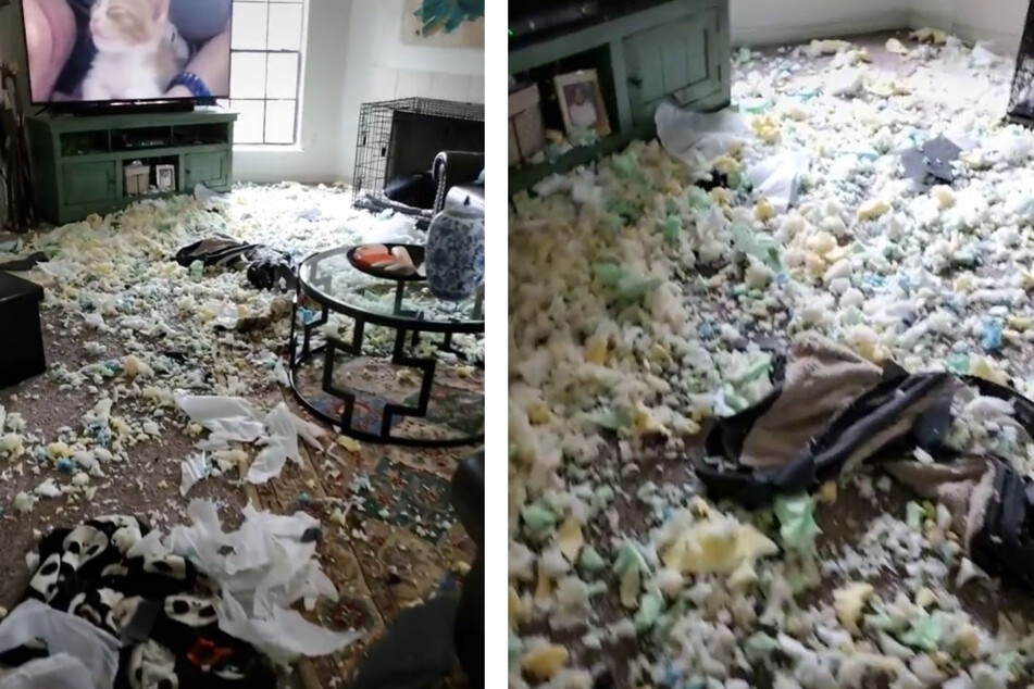Im Wohnzimmer herrschte das perfekte Chaos.