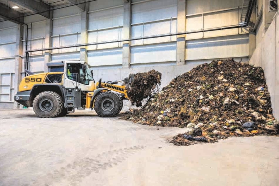 Ein Problem: Im Biomüll landen zu viele Plastiktüten, die kaum aussortiert
werden können.