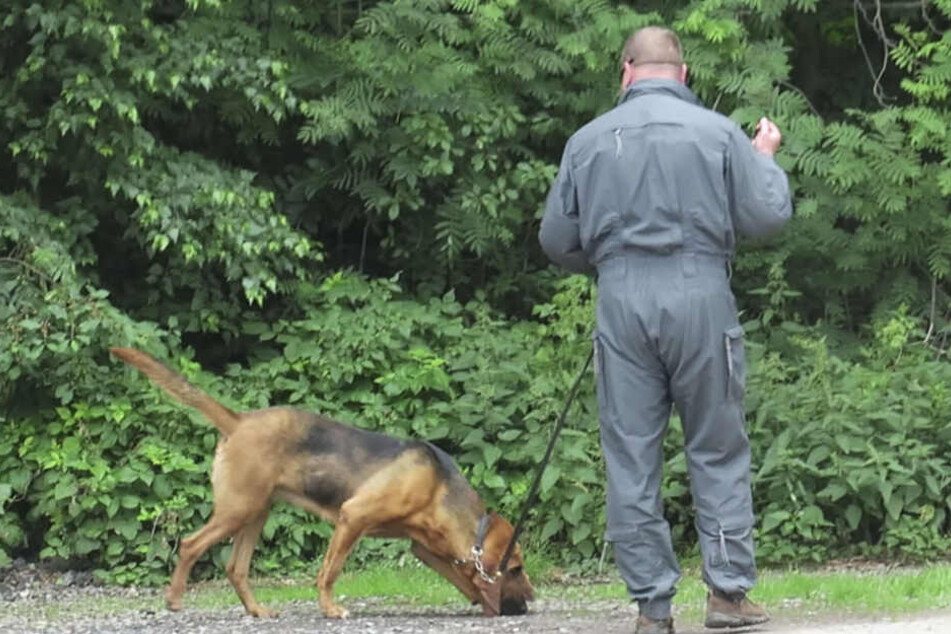 Auch mit Suchhunden war die Polizei vor Ort. (Symbolbild)