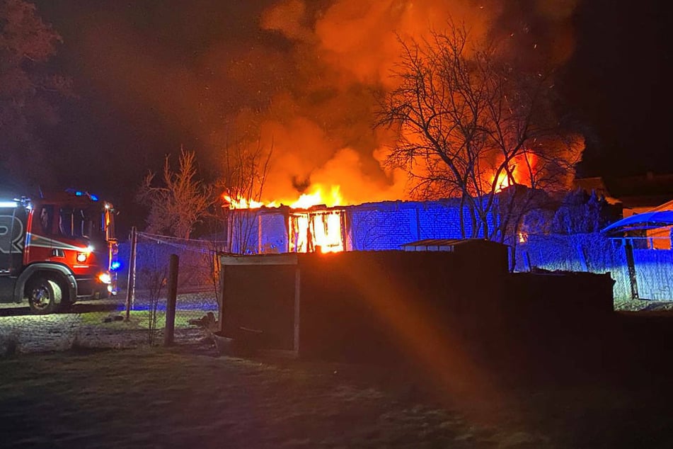 Werkstatt-Brand in Kremmen: Tierischer Held alarmiert die Anwohner