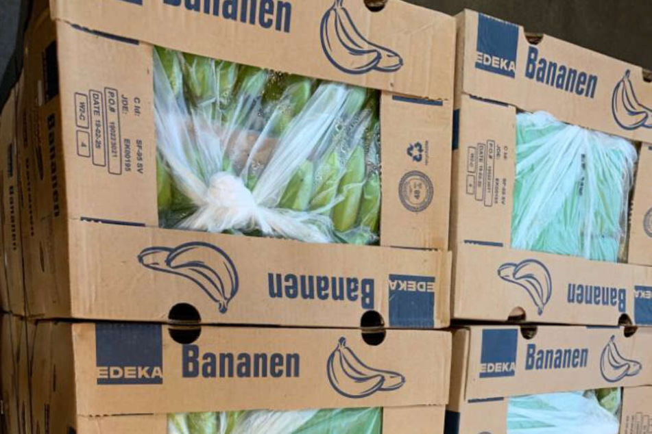In Bananenkisten haben die Schmuggler 700 Kilogramm Kokain versteckt.