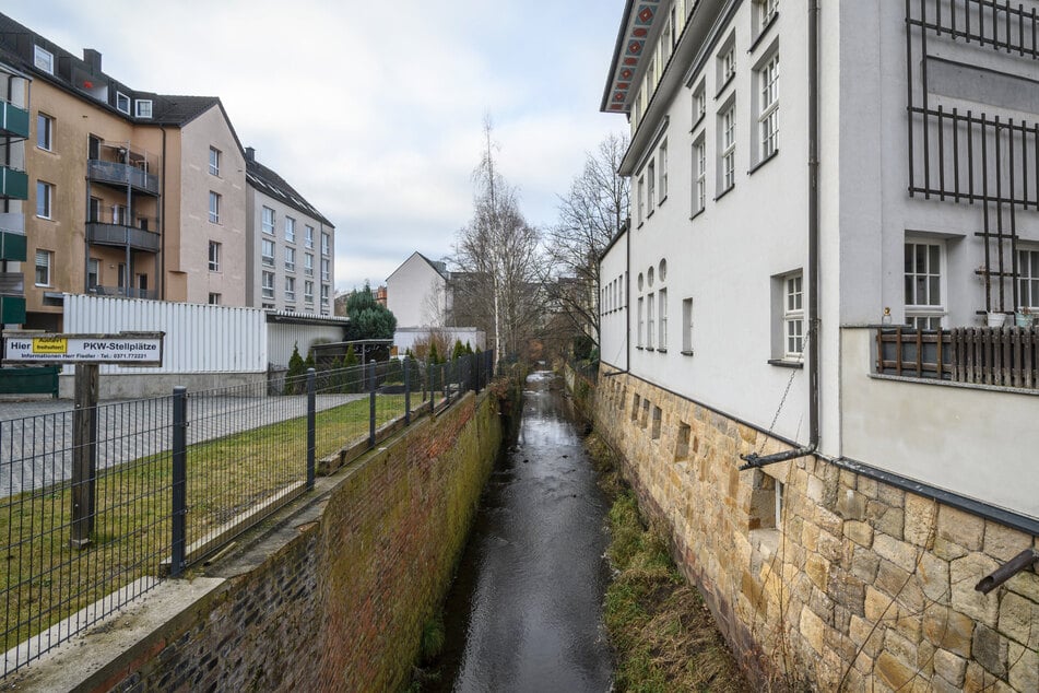 Der Pleißenbach soll im Zuge der „Schwammstadt“-Pläne naturnäher werden und mehr Wasser aufnehmen können – Blick von der Fritz-Matschke-Straße.
