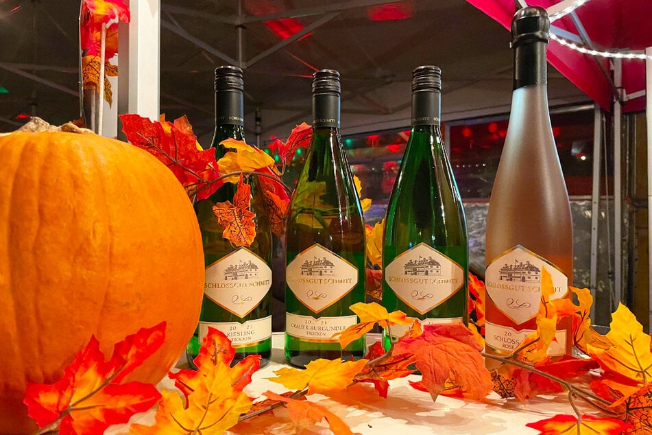 Ab Freitag (18.9.) empfängt der Stadthafen Leipzig Besucher zum Herbst- und Weinfest.