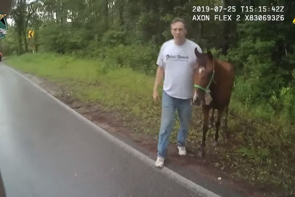 Das Fluchtpferd konnte auch wieder eingefangen werden.