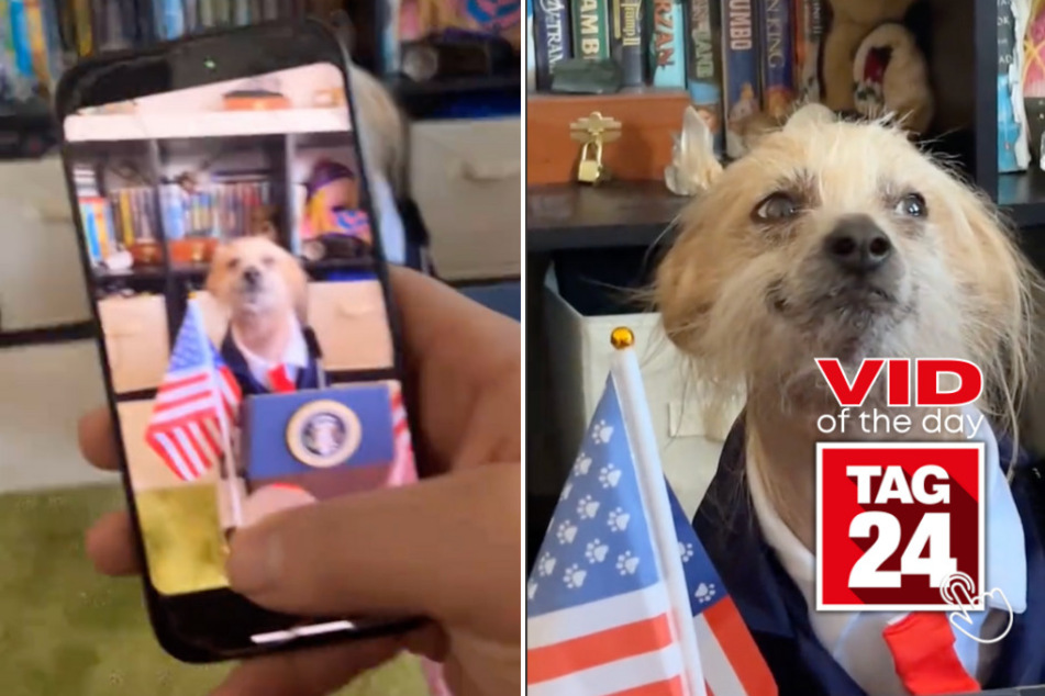viral videos: Viral Video of the Day for March 2, 2024: Presidential pup makes millions smile