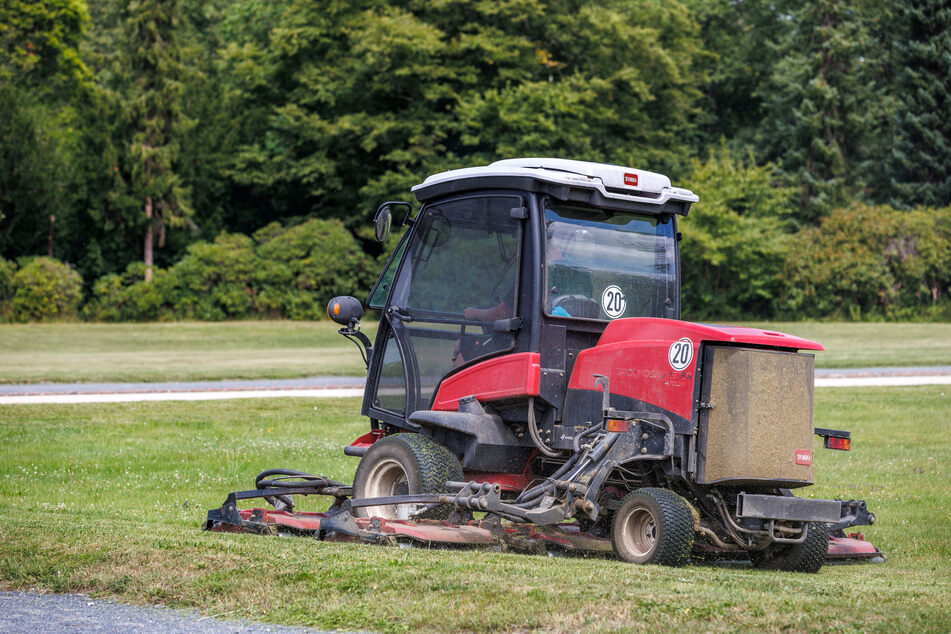 Die Parkanlagen im Großen Garten werden regelmäßig gemäht. An einigen Stellen darf das Gras aber auch wachsen, um Wurzelbereiche zu beschatten.