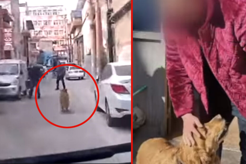 Das Ziel im Visier: Schnurstracks führte der Hund den Rettungswagen zum Herrchen.
