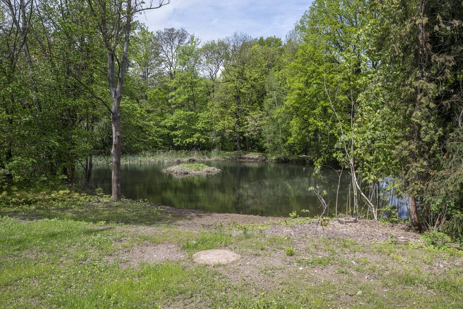 Mit der Zinnteich-Entschlammung hatte in diesem Jahr das Projekt Rittergutspark Schönau begonnen.