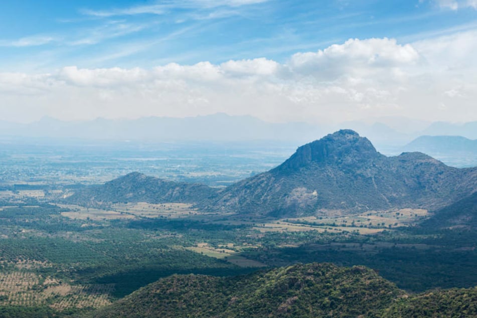 In den Westghats, ein Gebirge in Indien, wurde das bisher unbekannte Lebewesen entdeckt.